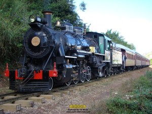 Trem "escondido" para chegada na estação